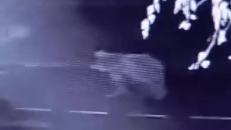 Кадр из видео