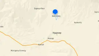 Водитель наехал на детей в Бестереке: 3 погибших и 3 пострадавших