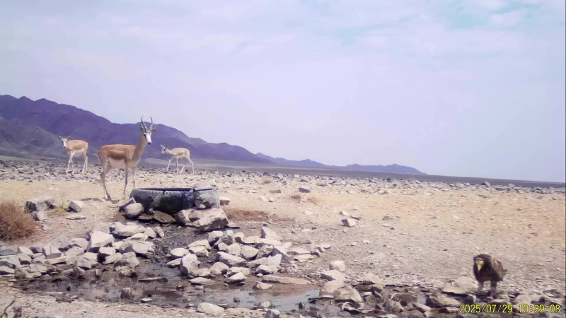 Кадр из видео