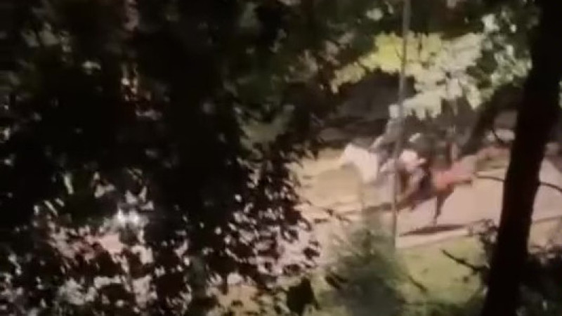 Кадр из видео