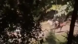 “Безголовые всадники Апокалипсиса“:  знаменитый музыкант пожаловался на улюлюканья в центре Алматы