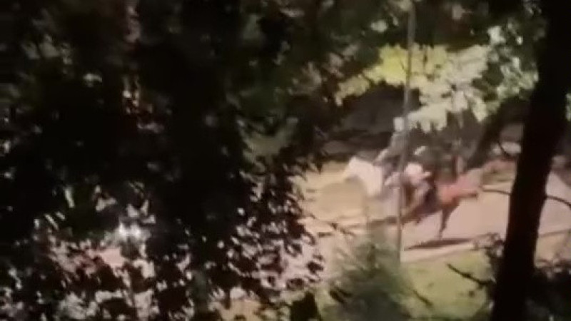 Кадр из видео