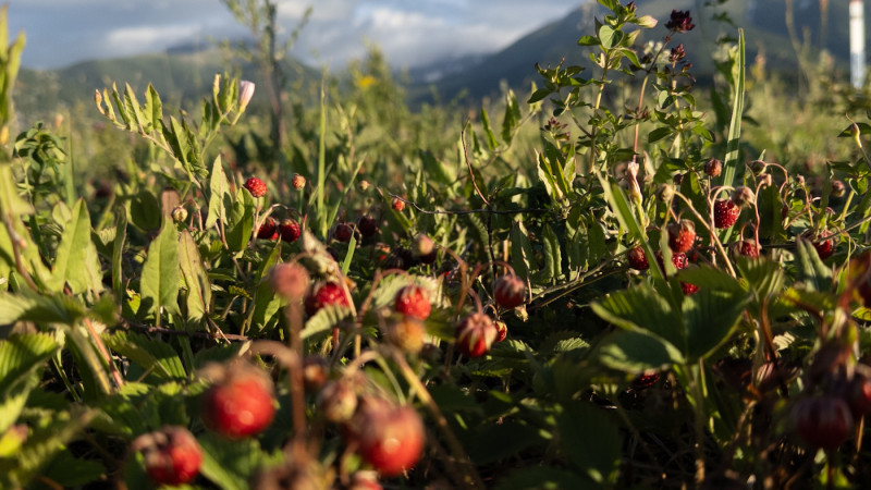 Фото ©️ Tengrinews.kz / Турар Казангапов
