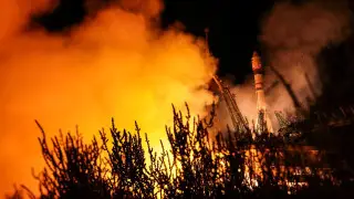 Мыши и мухи улетели из Казахстана в космос - появились данные об их состоянии