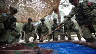 Турецкие военные могут отправиться в Украину: названы три условия