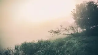 Опасность пожаров, туман, град: штормовое предупреждение объявили в 16 регионах страны