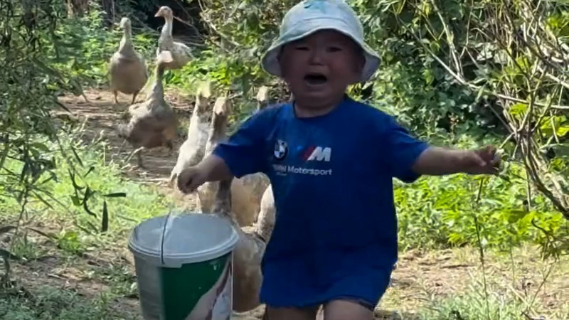 Кадры из видео