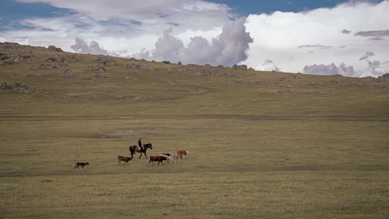 Фото ©️ Tengrinews.kz / Турар Казангапов