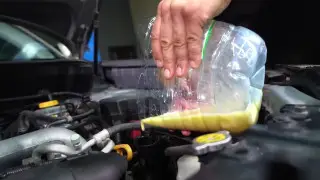 Что будет, если залить яйца в моторное масло, показали на видео