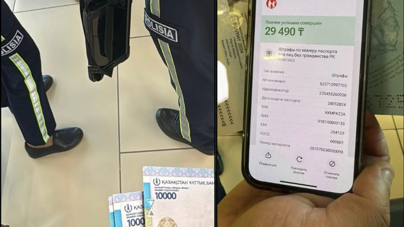 Фото: x.com/camelmagnet