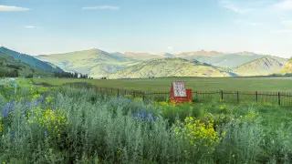 Аномальная жара до +40 накроет Казахстан 27 августа