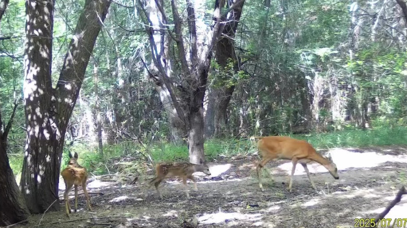 Кадр из видео