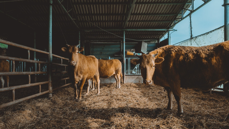 Фото: istockphoto.com