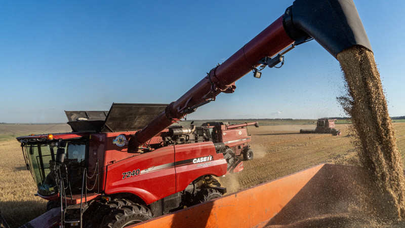 Фото:depositphotos.com/svetlana.shekera@gmail.com