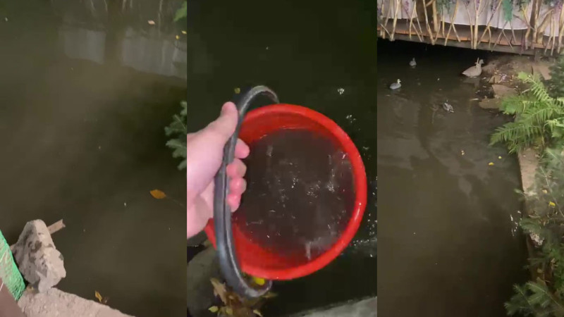 Кадры из видео