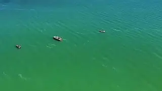 На Капшагае нашли тело мужчины, который пять дней назад выпал из лодки и пропал