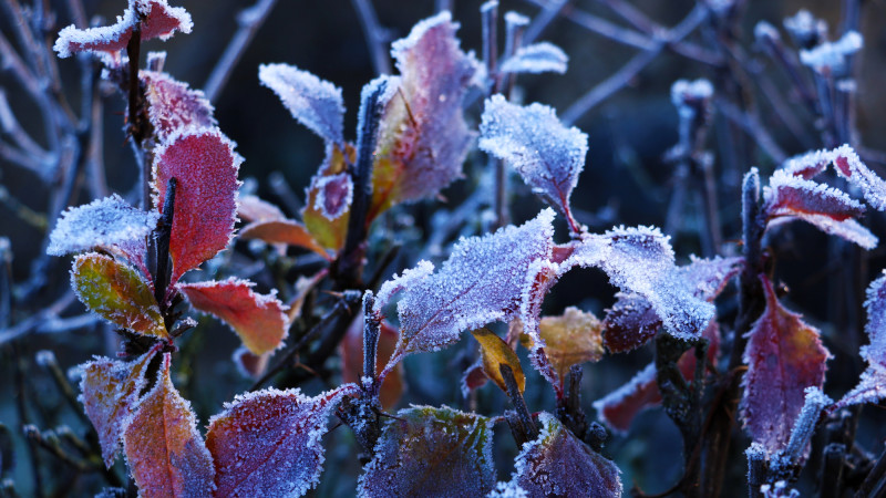 Фото:depositphotos.com