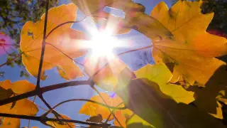 Жара возвращается: где в Казахстане будет до +37