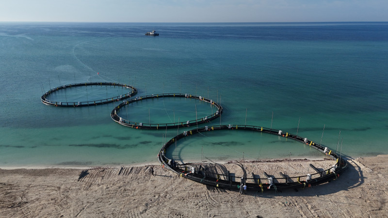 Фото: пресс-служба Мангистауской области