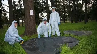 Ученые обнаружили новый потенциально опасный вирус у летучих мышей - СМИ