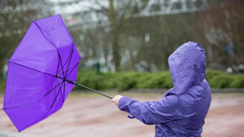 Фото:depositphotos.com