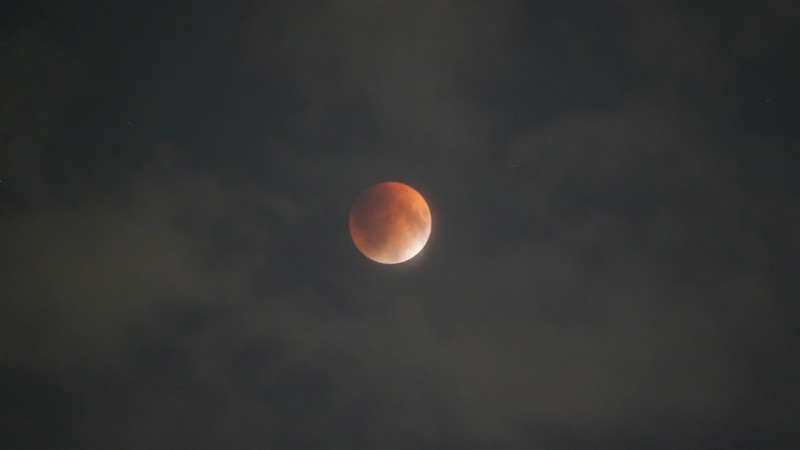 Фото Tengrinews.kz/Маржан Куандыкова