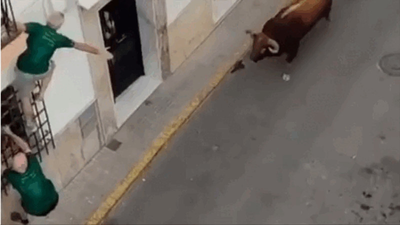 Кадры из видео