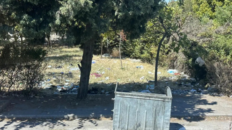 Фото предоставлено Алиной Краснянской