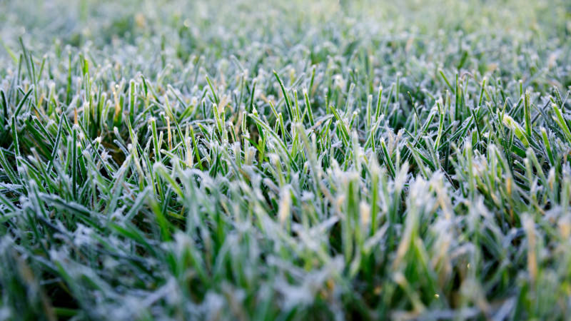 Фото:depositphotos.com