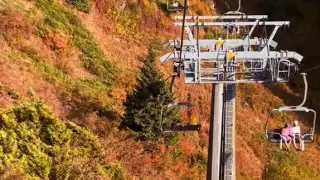 Огромные очереди на Шымбулаке сняли на видео