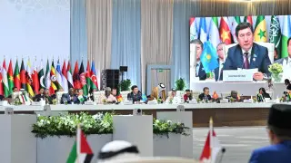 Спикер Мажилиса по поручению Президента выступил на Арабо-Исламском саммите