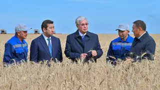 Токаев проведёт совещание в Акмолинской области