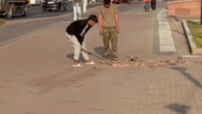 Кадр из видео