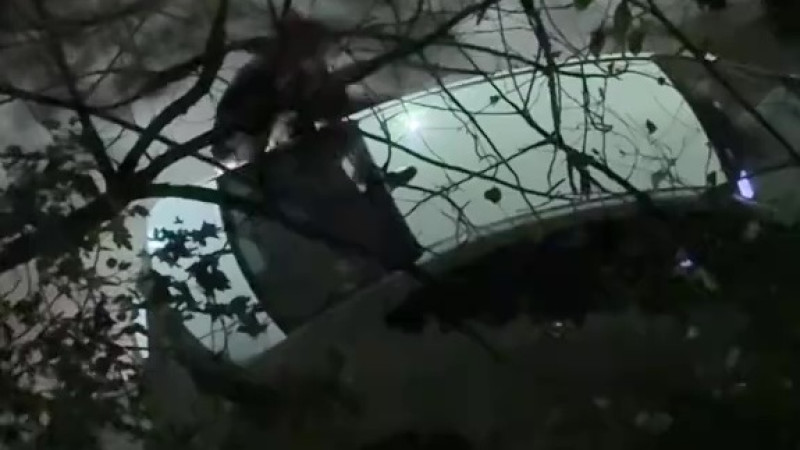 Кадр из видео