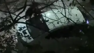 “Я не хочу, отпусти“: соседи спасли девушку от похищения в Алматы