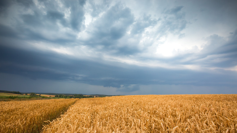 Фото:depositphotos.com