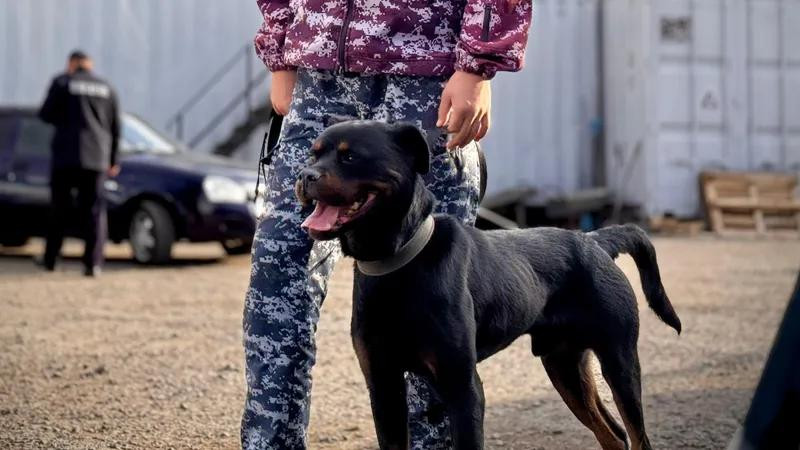 Фото: акимат Астаны