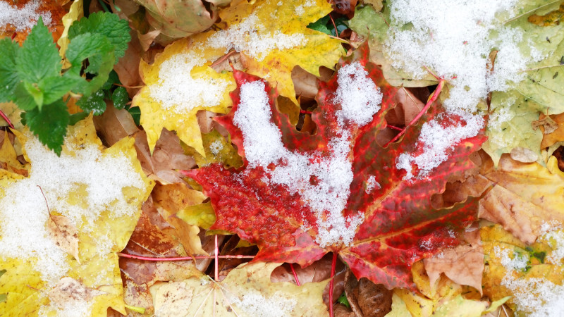 Фото:depositphotos.com