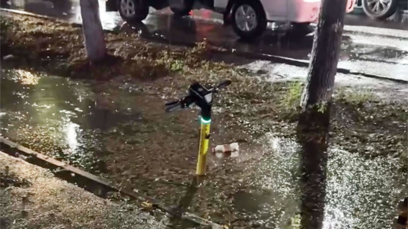 Кадр из видео