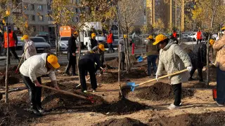 Масштабный общегородской субботник стартовал в Астане