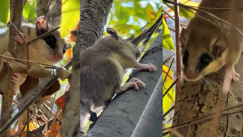 Кадры из видео Instagram/charyn___official