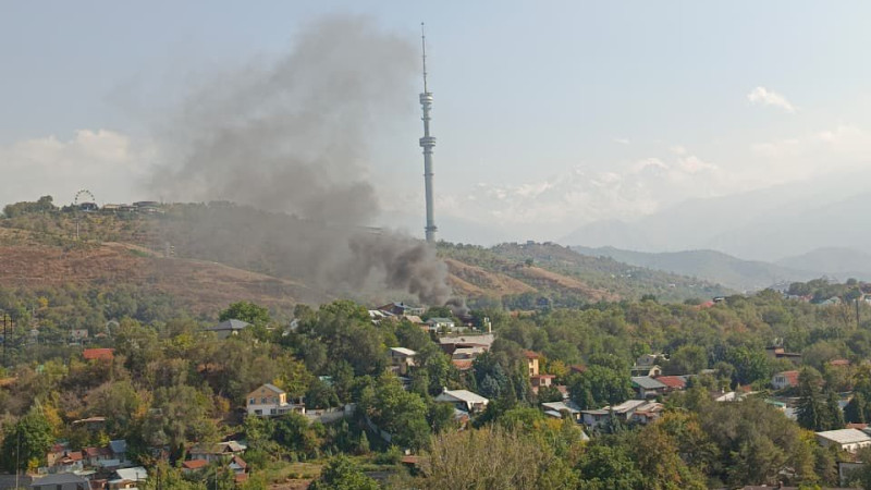 Фото читателей Tengrinews.kz