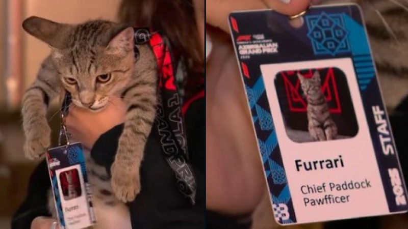 Фото из X-аккаунта @leclercsletters