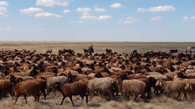 Фото: акимат области Улытау