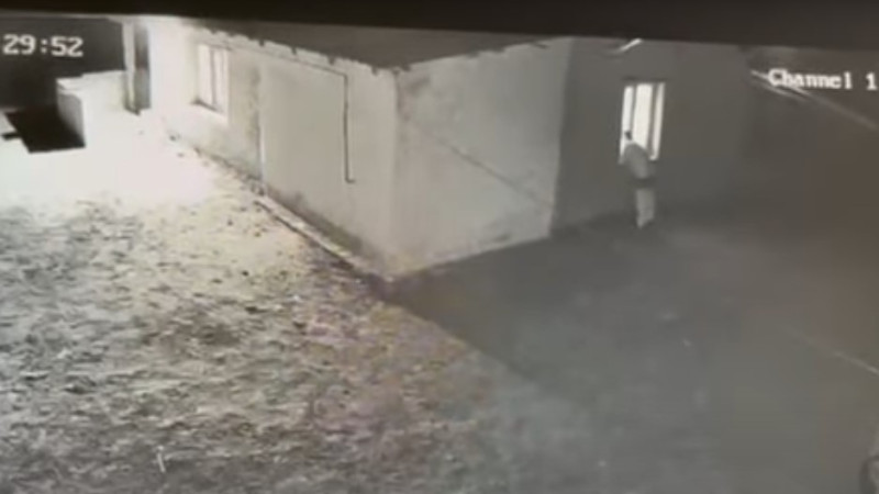 Кадры из видео: azh.kz