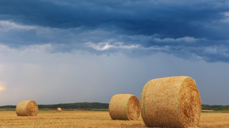Фото:depositphotos.com