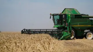 В Акмолинской области собрали 5 миллионов тонн зерна