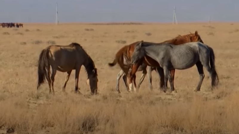 Кадры из видео