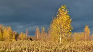 От гроз до заморозков: циклон принесёт резкое похолодание в Казахстан