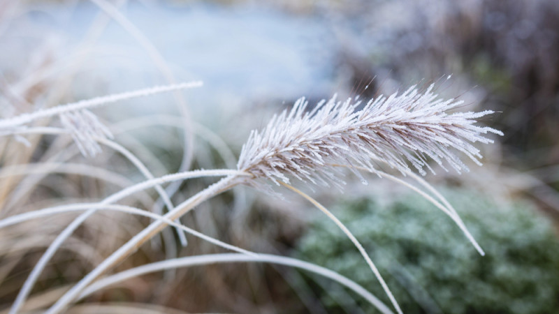 Фото:depositphotos.com